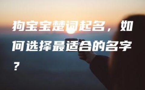 狗宝宝楚词起名，如何选择最适合的名字？