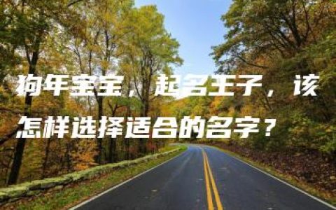 狗年宝宝，起名王子，该怎样选择适合的名字？