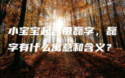 小宝宝起名带磊字，磊字有什么寓意和含义？