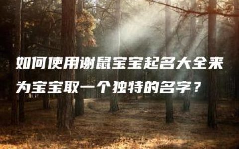 如何使用谢鼠宝宝起名大全来为宝宝取一个独特的名字？