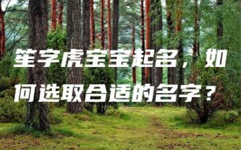 笙字虎宝宝起名，如何选取合适的名字？