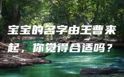 宝宝的名字由王曹来起，你觉得合适吗？