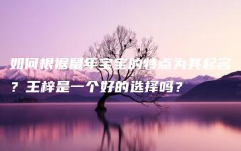 如何根据鼠年宝宝的特点为其起名？王梓是一个好的选择吗？