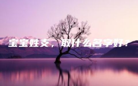 宝宝姓支，取什么名字好？