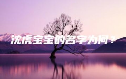 沈虎宝宝的名字为何？