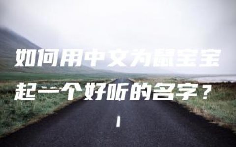 如何用中文为鼠宝宝起一个好听的名字？