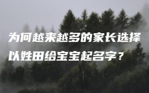 为何越来越多的家长选择以姓田给宝宝起名字？