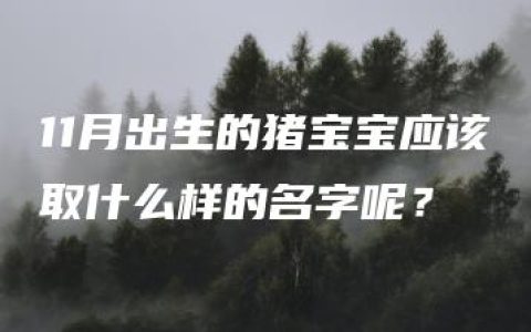 11月出生的猪宝宝应该取什么样的名字呢？