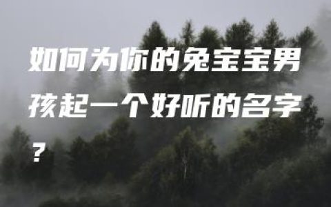 如何为你的兔宝宝男孩起一个好听的名字？