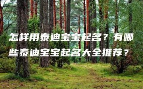 怎样用泰迪宝宝起名？有哪些泰迪宝宝起名大全推荐？