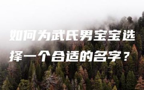 如何为武氏男宝宝选择一个合适的名字？