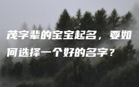 茂字辈的宝宝起名，要如何选择一个好的名字？