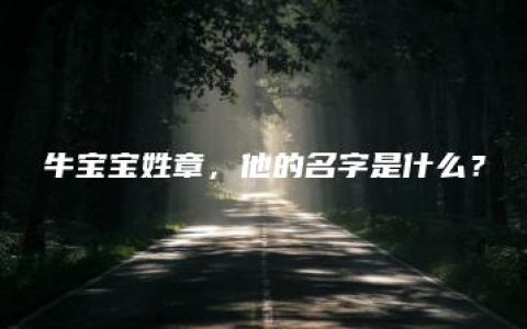 牛宝宝姓章，他的名字是什么？