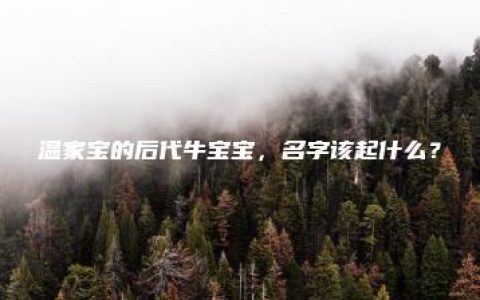 温家宝的后代牛宝宝，名字该起什么？