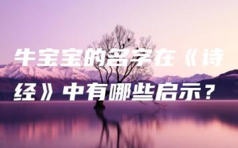 牛宝宝的名字在《诗经》中有哪些启示？