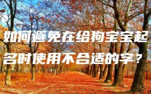 如何避免在给狗宝宝起名时使用不合适的字？