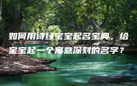 如何用诗经宝宝起名宝典，给宝宝起一个寓意深刻的名字？