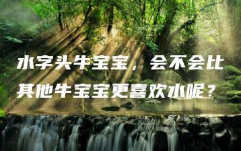 水字头牛宝宝，会不会比其他牛宝宝更喜欢水呢？