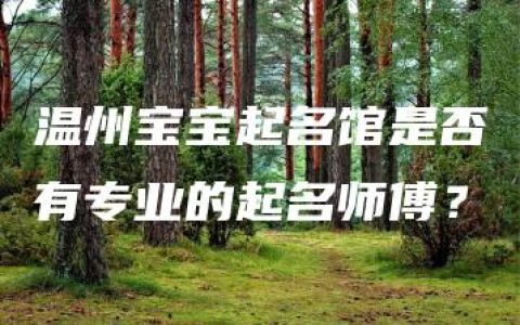 温州宝宝起名馆是否有专业的起名师傅？