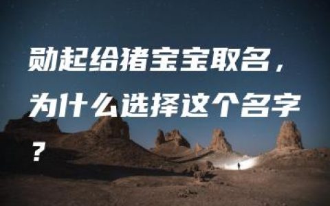 勋起给猪宝宝取名，为什么选择这个名字？