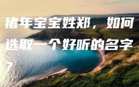 猪年宝宝姓郑，如何选取一个好听的名字？