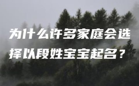 为什么许多家庭会选择以段姓宝宝起名？