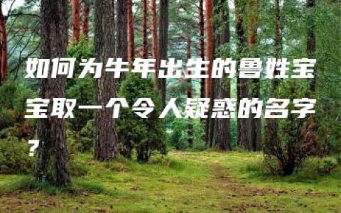 如何为牛年出生的鲁姓宝宝取一个令人疑惑的名字？