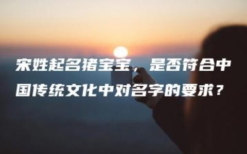 宋姓起名猪宝宝，是否符合中国传统文化中对名字的要求？