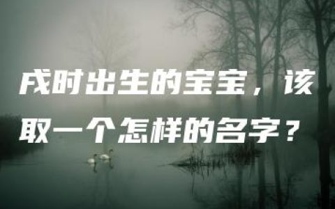 戌时出生的宝宝，该取一个怎样的名字？