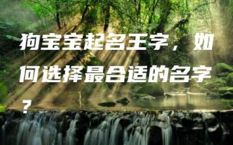 狗宝宝起名王字，如何选择最合适的名字？