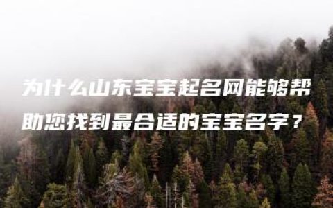 为什么山东宝宝起名网能够帮助您找到最合适的宝宝名字？