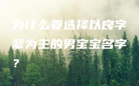 为什么要选择以良字辈为主的男宝宝名字？