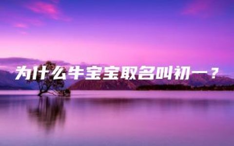 为什么牛宝宝取名叫初一？