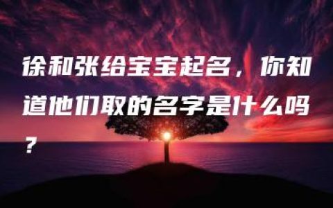 徐和张给宝宝起名，你知道他们取的名字是什么吗？