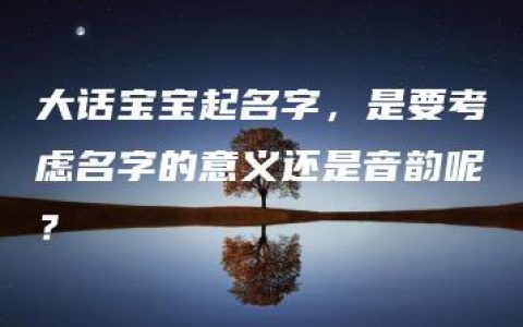 大话宝宝起名字，是要考虑名字的意义还是音韵呢？