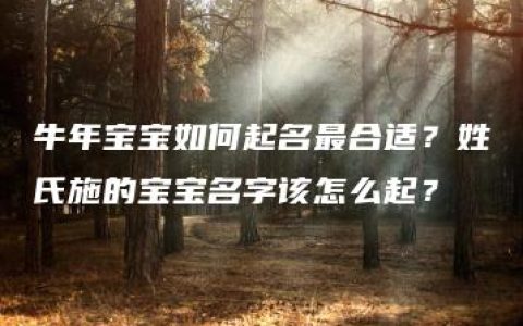 牛年宝宝如何起名最合适？姓氏施的宝宝名字该怎么起？