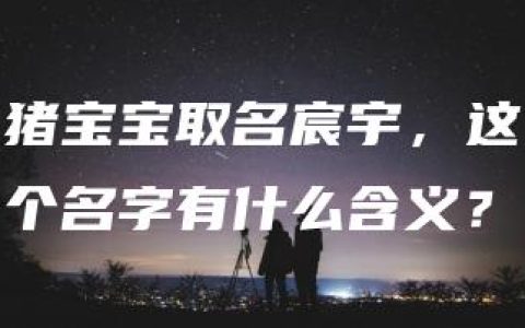 猪宝宝取名宸宇，这个名字有什么含义？