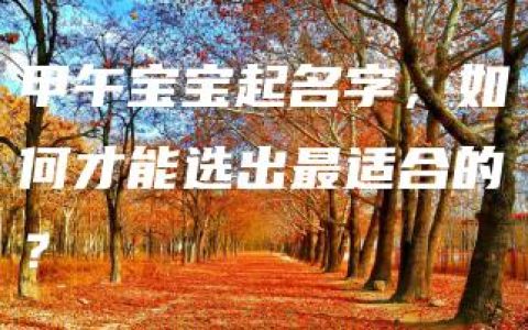 甲午宝宝起名字，如何才能选出最适合的？