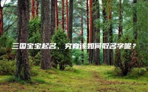 三国宝宝起名，究竟该如何取名字呢？