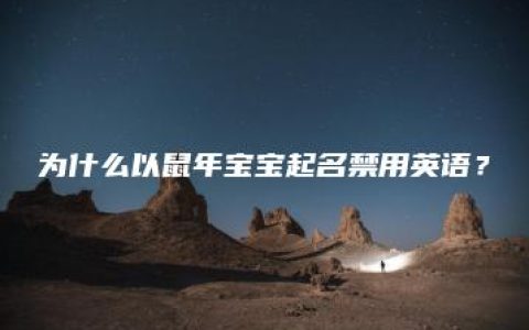 为什么以鼠年宝宝起名禁用英语？