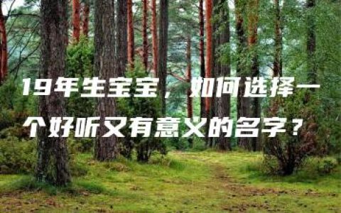 19年生宝宝，如何选择一个好听又有意义的名字？