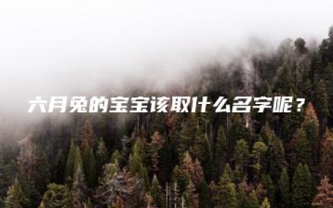 六月兔的宝宝该取什么名字呢？