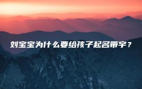 刘宝宝为什么要给孩子起名带宇？