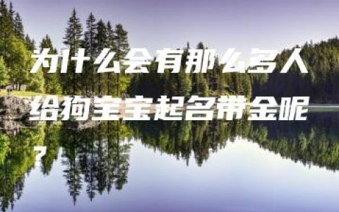 为什么会有那么多人给狗宝宝起名带金呢？