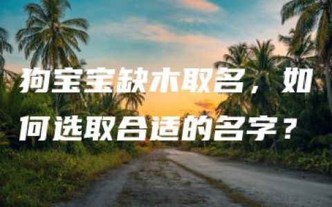 狗宝宝缺木取名，如何选取合适的名字？