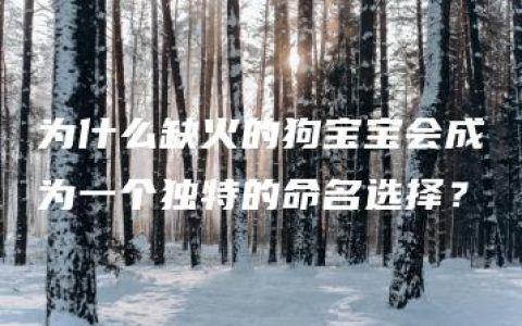 为什么缺火的狗宝宝会成为一个独特的命名选择？