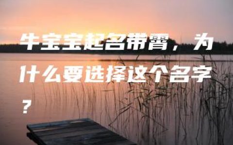 牛宝宝起名带霄，为什么要选择这个名字？