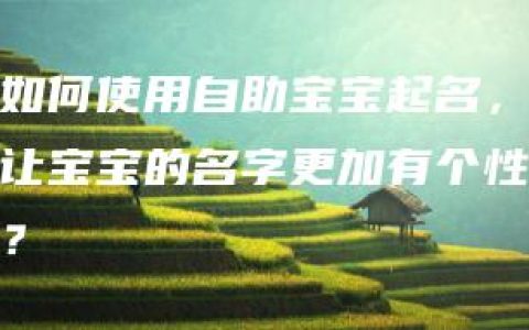 如何使用自助宝宝起名，让宝宝的名字更加有个性？