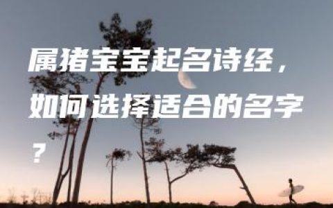 属猪宝宝起名诗经，如何选择适合的名字？