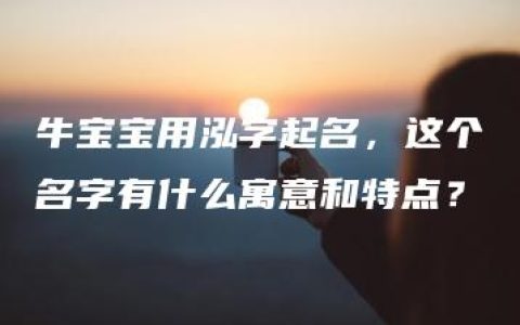 牛宝宝用泓字起名，这个名字有什么寓意和特点？